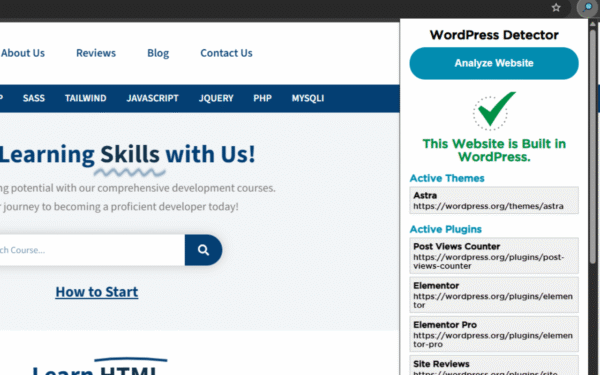 WordPress Detector Pro - Plugins List