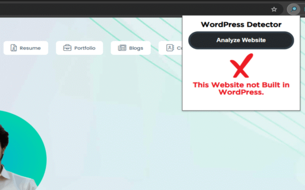 WordPress Detector Pro - WP Not Detected